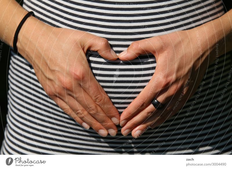 wertvoll | Nachwuchs Mensch feminin Baby Junge Frau Jugendliche Erwachsene Mutter Familie & Verwandtschaft Hand Finger Bauch 1 18-30 Jahre Ring Herz Linie