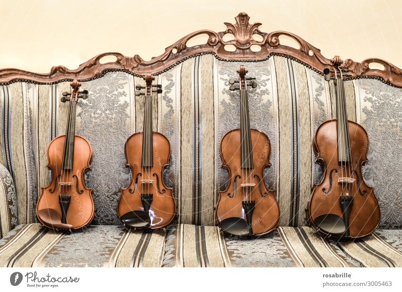 Geigen | wertvoll elegant Freizeit & Hobby Sofa Wohnzimmer Musik Bildung Musiker Orchester Sammlung Spielen alt braun fleißig Interesse Musikinstrument