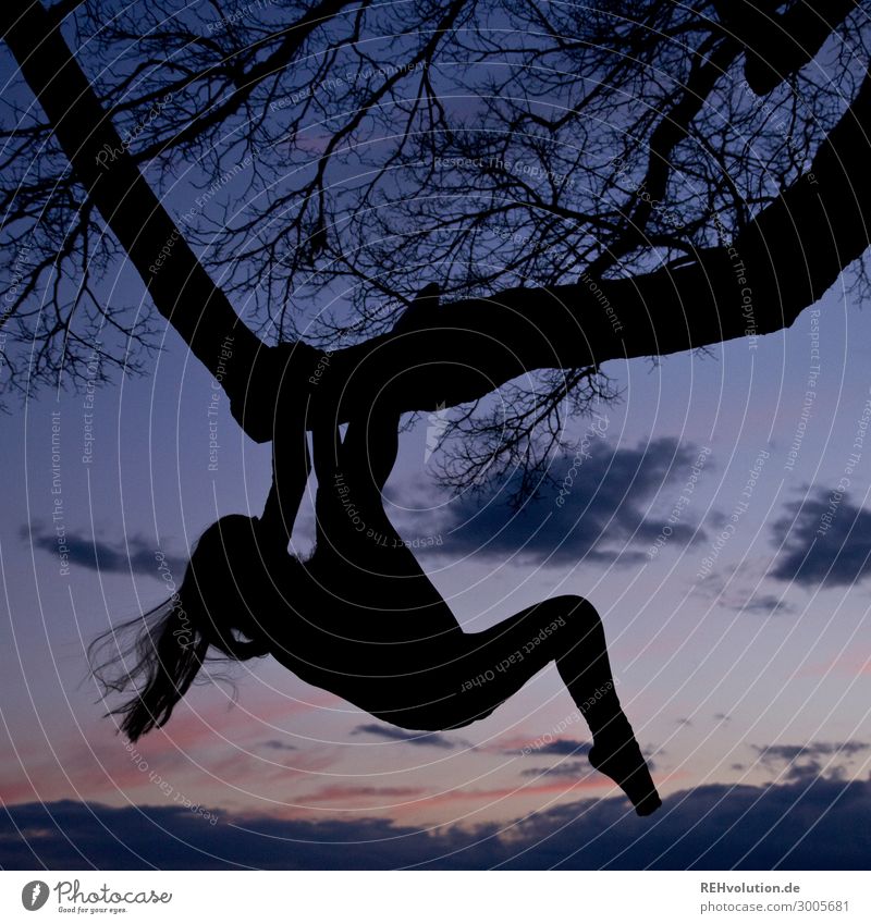 silhouette - junge frau hangelt sich an einem baum Silhouette Sonnenuntergang Baum Klettern hangeln hängen lange Haare sportlich Fitness Bewegung bewegen