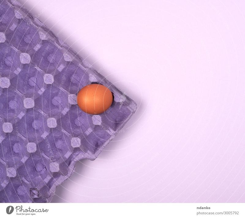 lila Schutzschale für rohe Hühnereier mit Zellen Design Dekoration & Verzierung Container Papier Verpackung Paket oben braun violett Farbe Hintergrund Kasten
