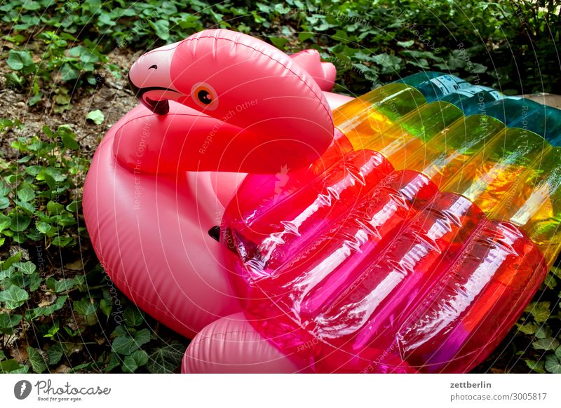 Flamingo Gummi Badeente Gummitier Spielzeug Kunststoff Schwimmen & Baden Schwimmhilfe rot rosa mädchenspielzeug Sommer Menschenleer Textfreiraum