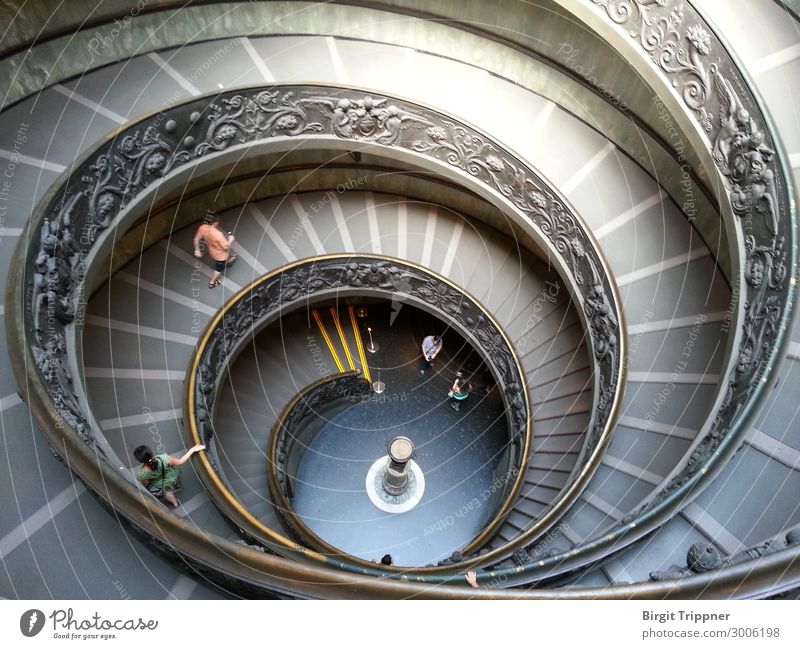 Wendeltreppe Architektur Treppe Vatikanmuseum ästhetisch braun gold grau silber ruhig Zufriedenheit schön Gedeckte Farben Innenaufnahme Kunstlicht
