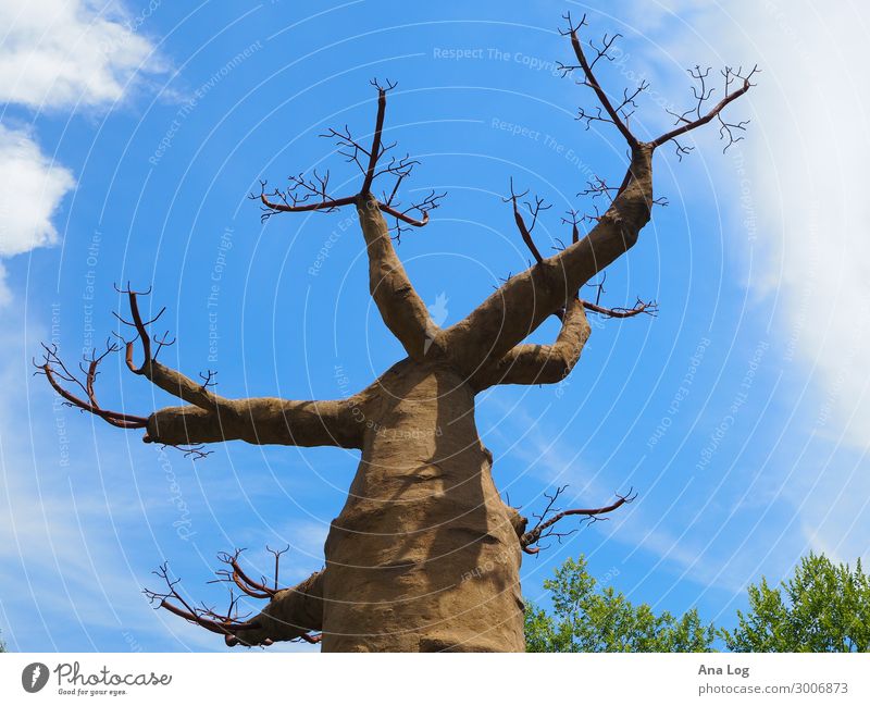 nach oben Umwelt Natur Landschaft Pflanze Luft Wolken Sommer Schönes Wetter Baum Marlow Europa Stimmung Wahrheit Freiheit Farbfoto Außenaufnahme Menschenleer