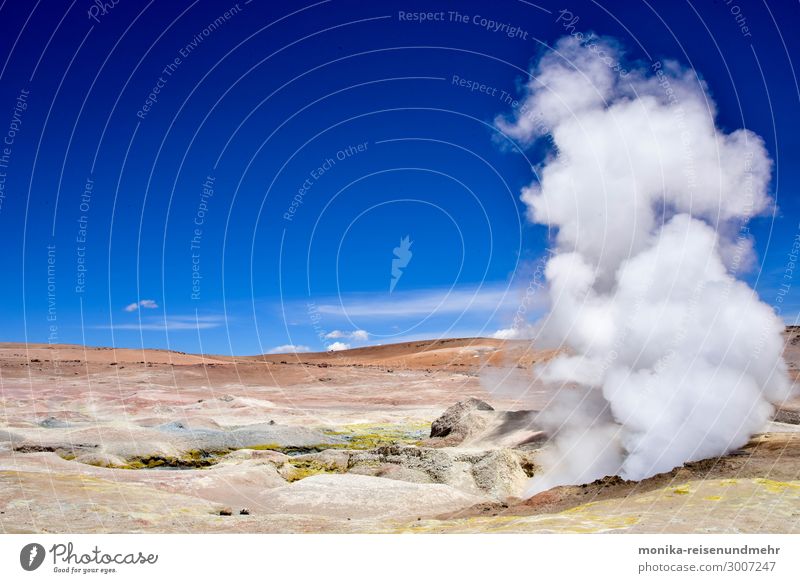 Geysire in Bolivien geysir bolivien altiplano heiß quelle dampf vulkan hochebene berge südamerika