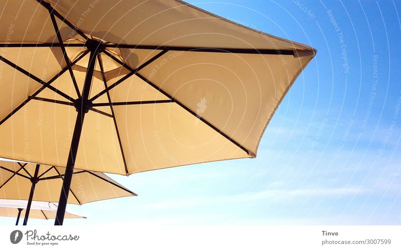 Sonnenschirme Himmel Sonnenlicht Sommer Klima Klimawandel Schönes Wetter Schutz Ferien & Urlaub & Reisen Wetterschutz Wärme UV-Schutz Schattenspender sommerlich