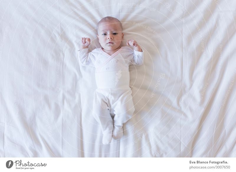 Nahaufnahme eines schönen Babys zu Hause Haut Gesicht Erholung Kind Mensch feminin Kleinkind Mädchen Körper Hand 1 0-12 Monate schlafen träumen klein neu