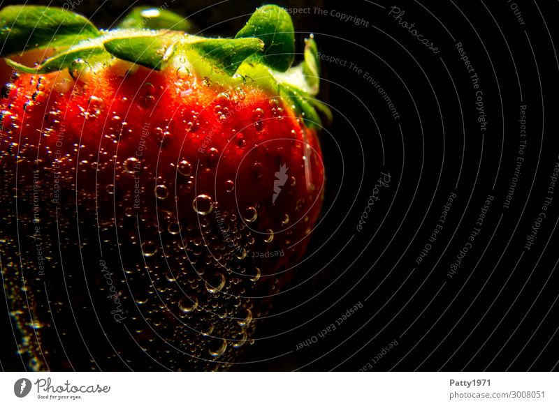 Erdbeere Lebensmittel Frucht Erdbeeren Getränk Trinkwasser Luftblase dunkel frisch Gesundheit grün rot schwarz bizarr Farbfoto Nahaufnahme Detailaufnahme