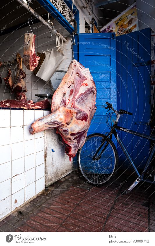 Fleischtheke l Verkaufsstelle Lebensmittel Ernährung Essaouira Marokko Afrika Haus hängen außergewöhnlich blau Handel Vergänglichkeit Fahrrad Metzgerei