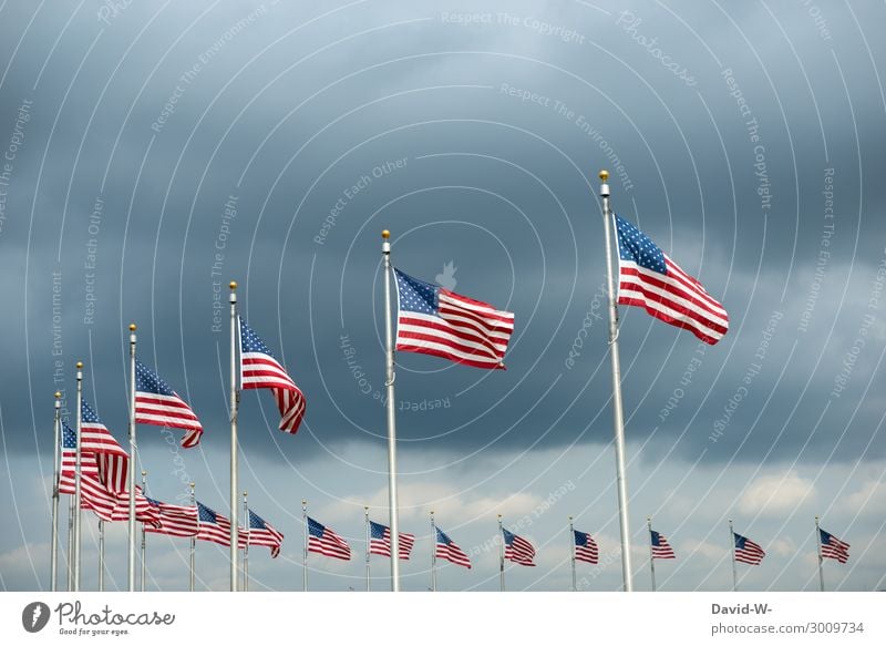 Amerika Lifestyle Reichtum elegant Stil Design Kunst Kunstwerk Gemälde Skyline überbevölkert dunkel Fahne Nationalflagge Patriotismus Weltmacht viele Wind wehen