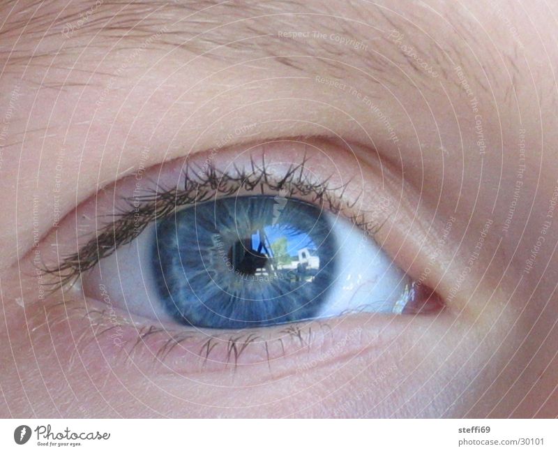 Augenspiegelung Reflexion & Spiegelung Wimpern Pupille Kinderaugen Mensch blaue Augen Nahaufnahme