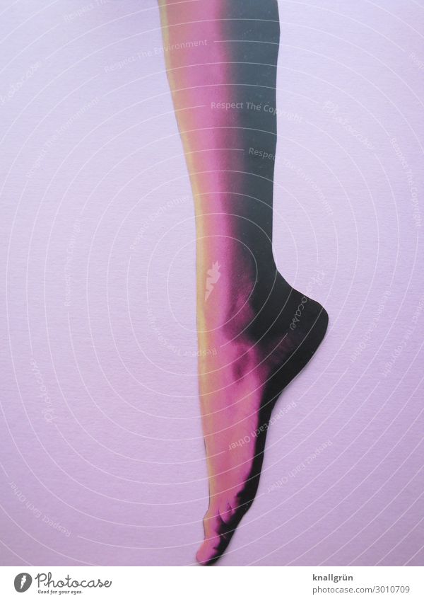 Spitze Mensch feminin Frau Erwachsene Beine Fuß 1 stehen Erotik gelb violett rosa Gefühle schön ästhetisch Zehenspitze Farbfoto Studioaufnahme