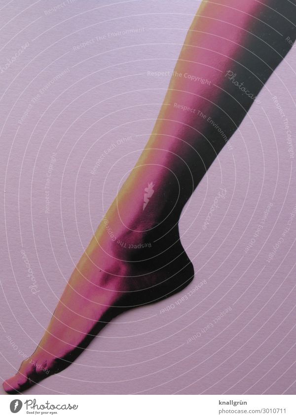 Graziös Mensch feminin Frau Erwachsene Beine Fuß 1 ästhetisch sportlich Erotik nackt schön gelb violett rosa Gefühle Farbe Zehenspitze Farbfoto Studioaufnahme