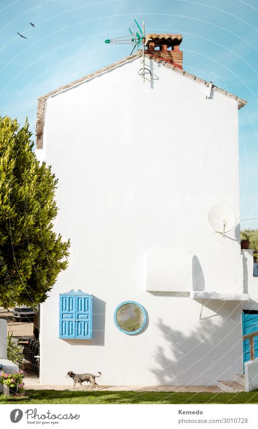 Weiße Fassade eines schönen rustikalen Hauses auf dem Land. Lifestyle Wellness harmonisch Erholung ruhig Ferien & Urlaub & Reisen Tourismus Ausflug Freiheit