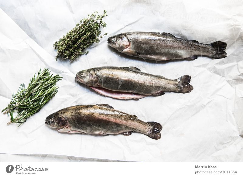 Forellen küchenfertig Lebensmittel Fisch Kräuter & Gewürze Ernährung Essen Bioprodukte Vegetarische Ernährung Diät Slowfood Italienische Küche Lifestyle