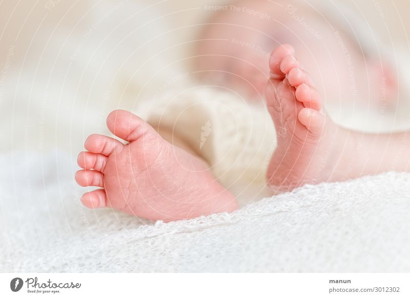 Mini-Haxen Gesundheit Taufe Baby Familie & Verwandtschaft Leben Beine Fuß Zehen 1 Mensch 0-12 Monate Glück Zufriedenheit Lebensfreude Geborgenheit Liebe