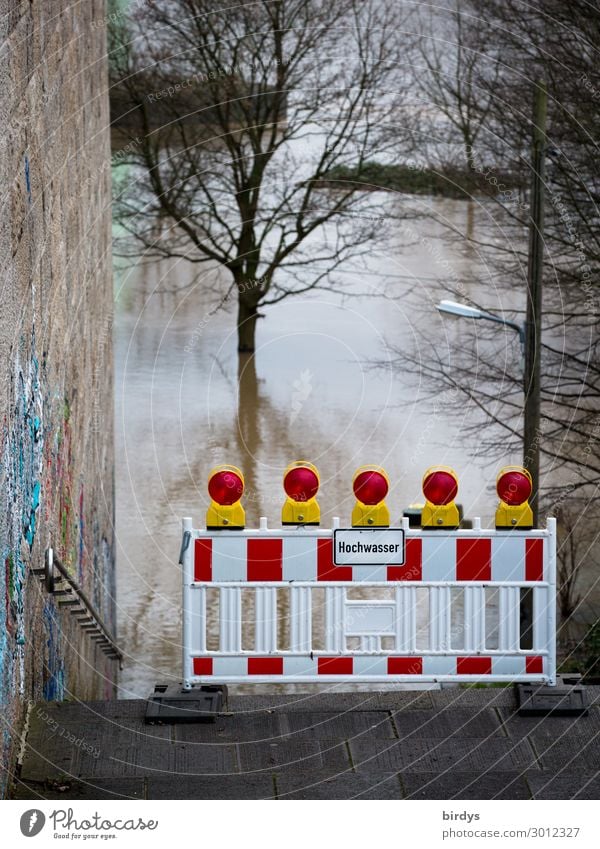 Hochwasser Herbst Winter Klimawandel schlechtes Wetter Unwetter Baum Fluss Rhein Mauer Wand Treppe Zeichen Schriftzeichen Schilder & Markierungen Hinweisschild