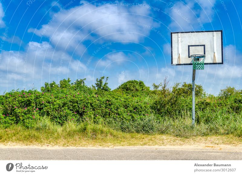 Basketballkorb in Landschaft Sport Ballsport Himmel Wolken Sträucher Menschenleer Straße Fitness Sehnsucht Einsamkeit einzigartig Freizeit & Hobby Farbfoto