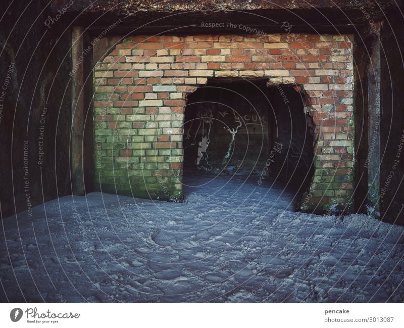 schatten der vergangenheit Urelemente Erde Sand Küste Strand Nordsee Menschenleer Ruine Tunnel Bunker Mauer Wand Denkmal alt authentisch dunkel Krieg Nostalgie
