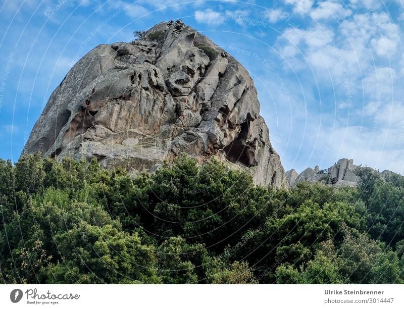 Steinriesen Umwelt Natur Landschaft Pflanze Himmel Wolken Frühling Schönes Wetter Sträucher Felsen Italien Sardinien außergewöhnlich groß natürlich Kraft