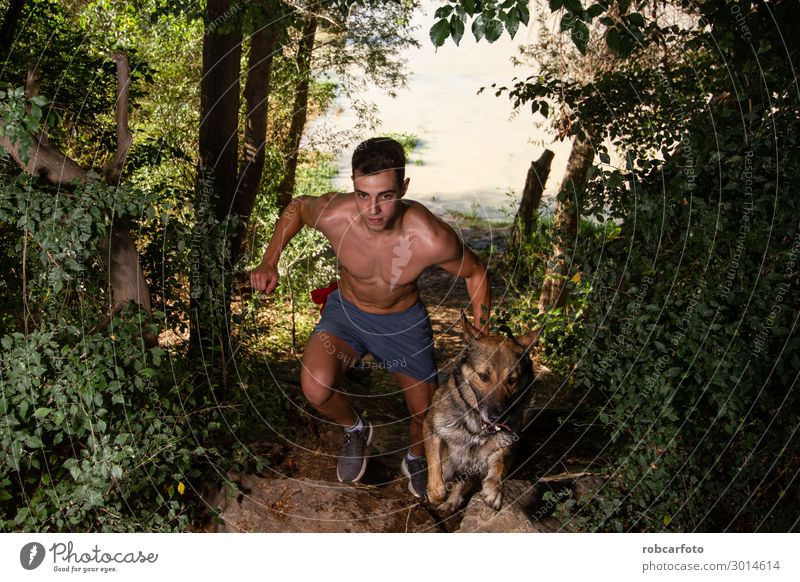 Läufer, der mit seinem Hund über das Feld läuft. Freude Glück Freizeit & Hobby Sommer Sport Joggen Mann Erwachsene Natur Landschaft Tier Himmel Gras Haustier