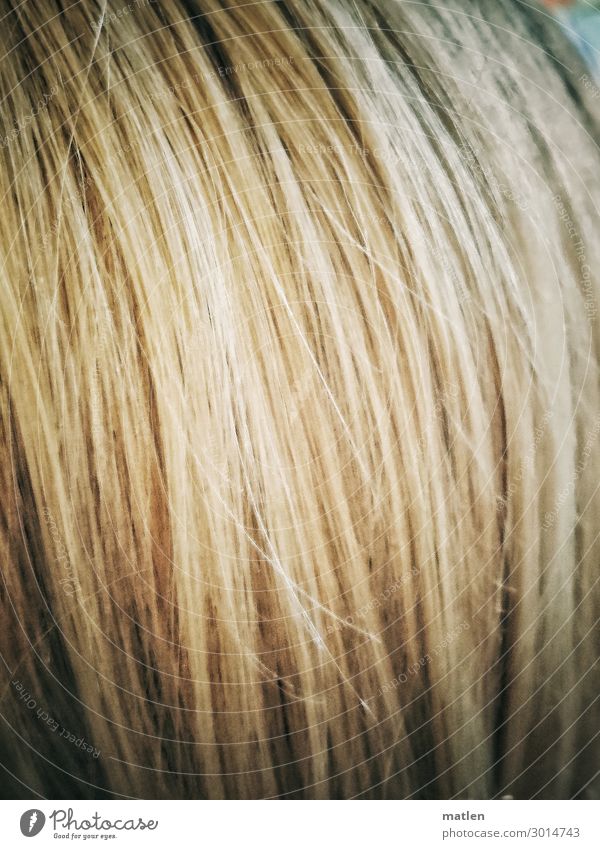 Toenung Haare & Frisuren blond langhaarig fallen gelb grau Farbe Farbfoto Nahaufnahme Detailaufnahme abstrakt Muster Strukturen & Formen Textfreiraum links
