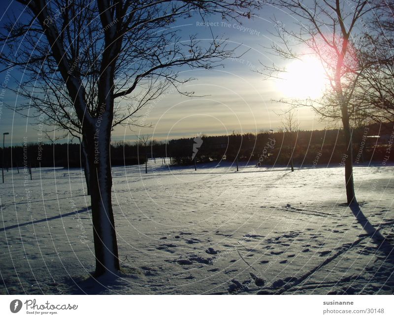 wintersonne 3 Ryd Winter Baum Wintersonne Schweden Linköping Landschaft