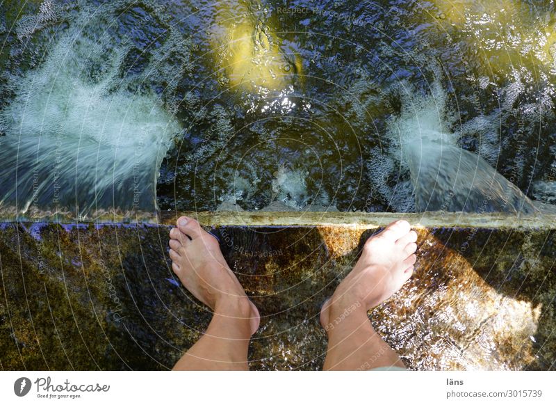 Hitzewelle l Füße im Wasser Mensch maskulin Mann Erwachsene Beine 1 Park stehen Flüssigkeit nass Beginn Erholung stagnierend Wege & Pfade Kühlung Barfuß