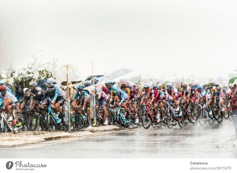 Tour sportlich Leben Sportler Sportmannschaft Fahrradfahren Radrennen maskulin Menschengruppe Sommer schlechtes Wetter Regen Dorf Straße Rennrad Regenschirm
