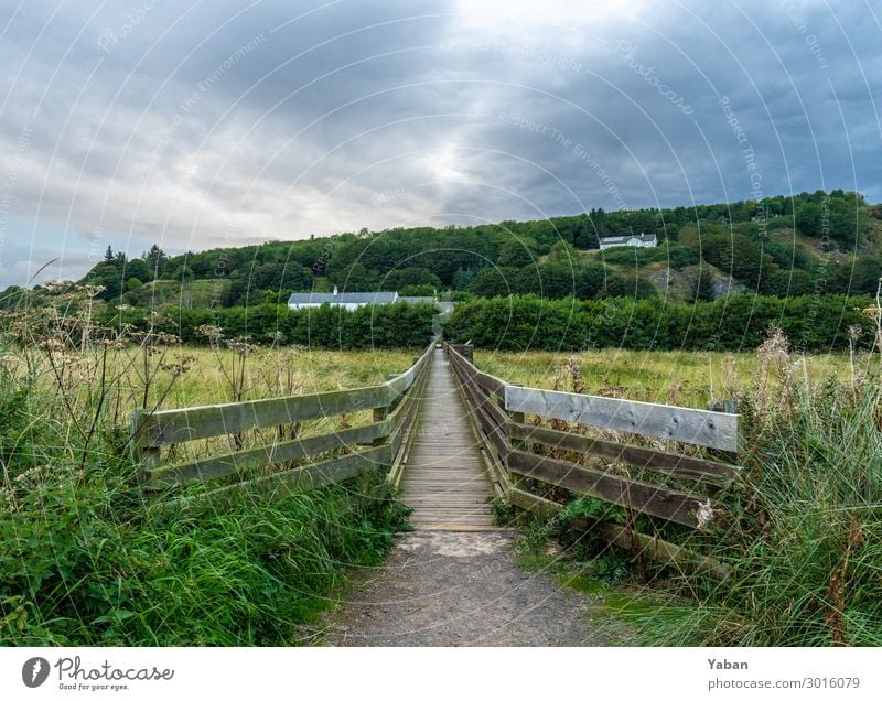 The way Ferien & Urlaub & Reisen wandern Wiese Feld Küste Nordsee grün Einsamkeit Steg Brückengeländer Schottland Naturschutzgebiet Farbfoto Außenaufnahme