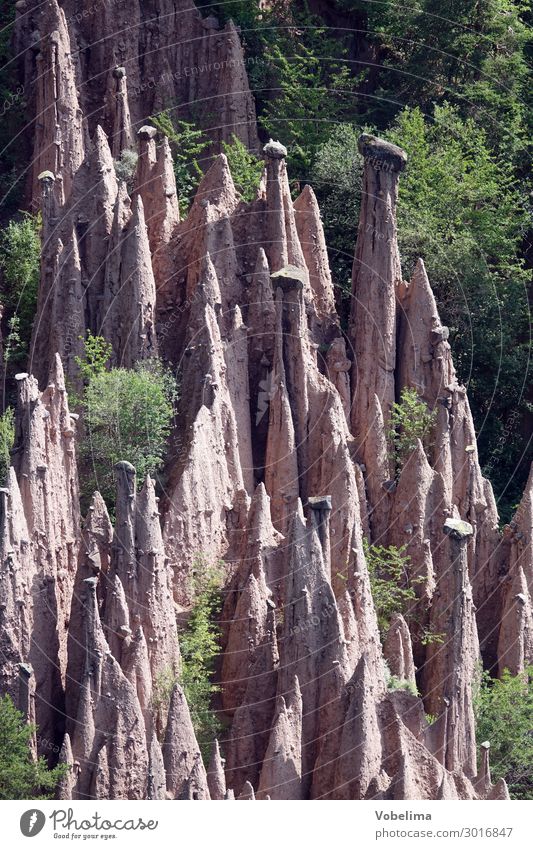 Erdpyramiden auf dem Ritten bei Lengmoos alpen bozen erdpfeiler erdpyramide erosion geologie longomoso natur naturwunder ritten suedtirol italien