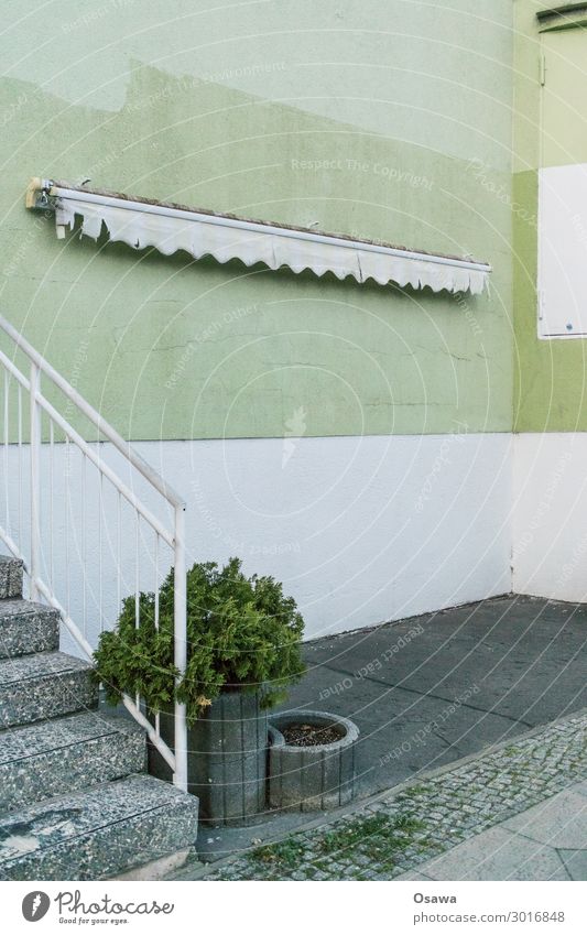 Markise mit Treppe und Flora Menschenleer Haus Bauwerk Gebäude Architektur grau grün weiß Beton Treppengeländer Pflanze Klappe Sträucher Zierpflanze Ecke