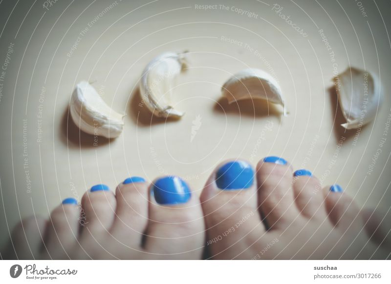 zehen Füße Zehen Fußzehen Knoblauchzehe Wortspiel zusammenhängend Symbole & Metaphern Homonym Äquivokation unklar gleichnamig Verschiedenheit Bedeutung