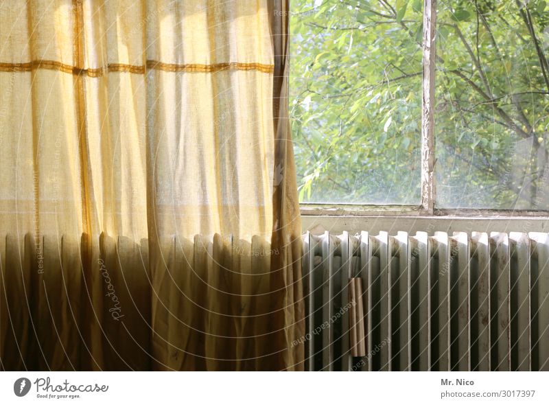 Das Fenster zum Hof Häusliches Leben Wohnung Renovieren alt hässlich Einsamkeit Heizkörper Gardine Vorhang Baum Blatt Mittelstand Aussicht Altbau Fensterscheibe