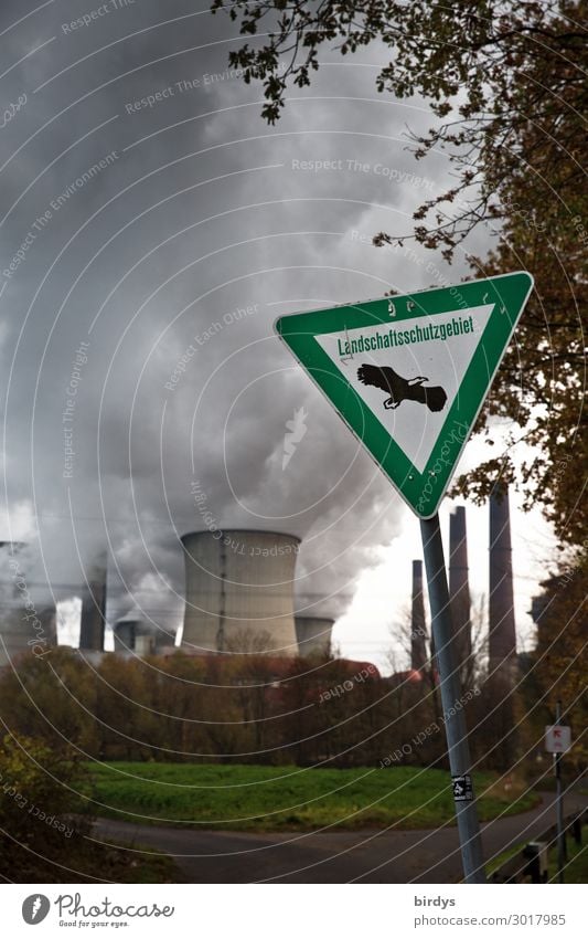 unglaublich aber wahr Energiewirtschaft Erneuerbare Energie Kohlekraftwerk Klimawandel Baum Schilder & Markierungen authentisch bedrohlich dunkel Zukunftsangst