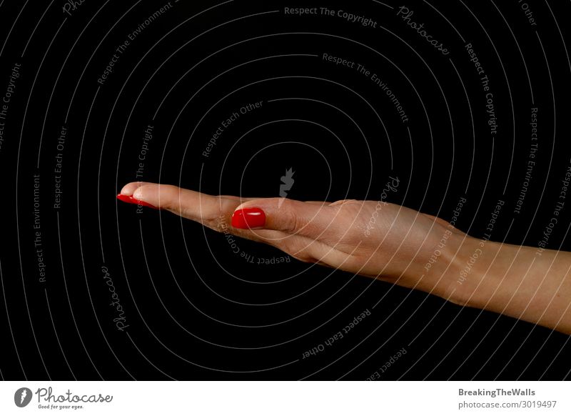 Frau Handfläche präsentiert etwas über Schwarzes Mensch feminin Junge Frau Jugendliche Erwachsene Finger 1 rot schwarz weiß präsentieren Halt gestikulieren