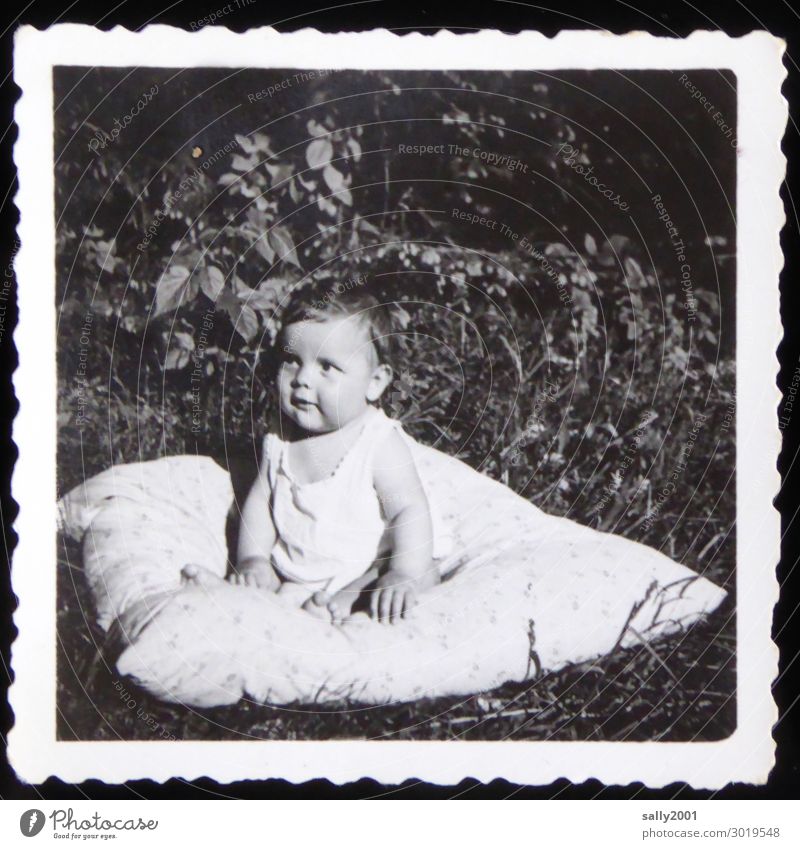 Lieblingsplätzchen... Mensch maskulin Baby Junge 1 0-12 Monate Unterwäsche beobachten Denken Erholung sitzen frei Freundlichkeit Neugier niedlich Beginn
