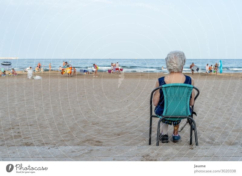 Senior Dame, die auf einem Stuhl am Strand sitzt und auf das Meer schaut. Mensch feminin Weiblicher Senior Frau Großmutter 1 60 und älter Sommer Küste friedlich