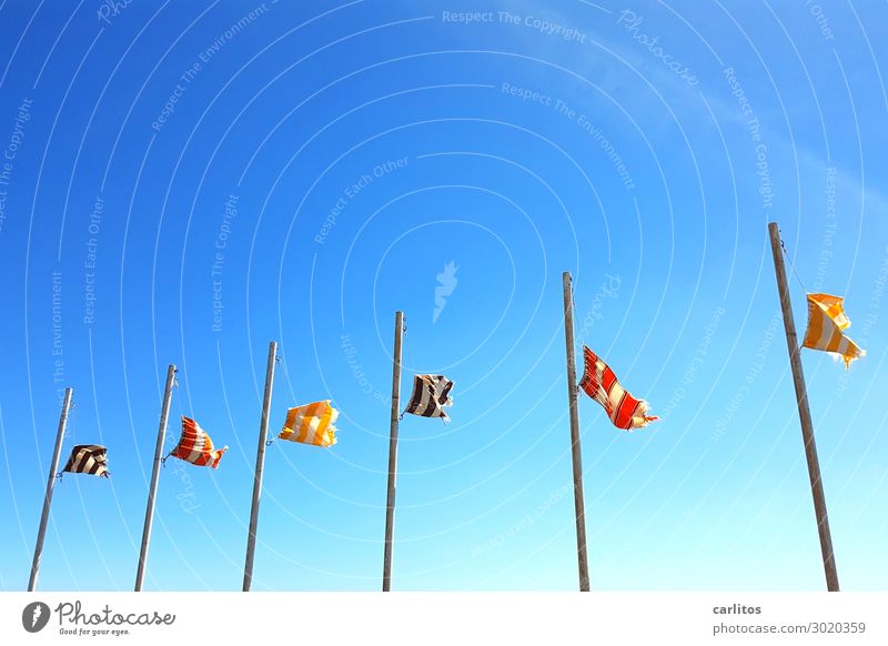 Flaggen im Wind I Lanzarote Kanaren Fahne Fahnenmast Himmel blau Sturm Tourismus Ferien & Urlaub & Reisen Reisefotografie