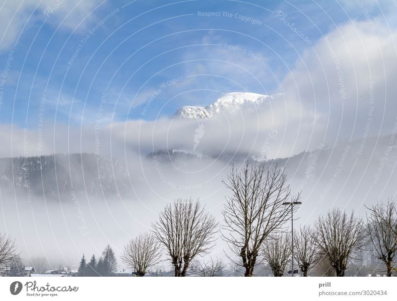 cloudy alpine scenery Winter Berge u. Gebirge Natur Wolken Nebel Baum Wald Hügel Alpen Gipfel Holz kalt friedlich Idylle Berghang Bayern Berchtesgadener Alpen