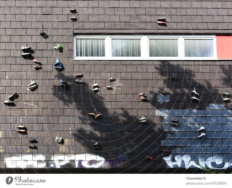 Luftig | Schuhgebammsel Mauer Wand Fassade Fenster Schuhe Schriftzeichen Graffiti hängen außergewöhnlich exotisch Fröhlichkeit trendy hoch trashig braun rot
