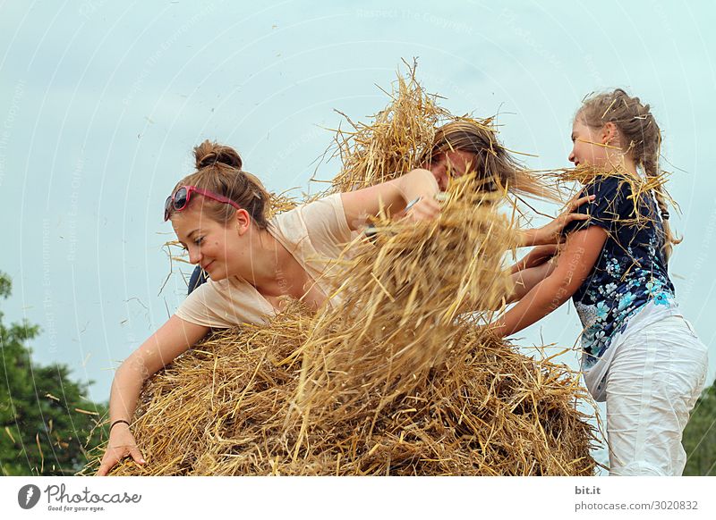 Drei Mädchen spielen im Stroh. Mensch feminin Kind Junge Frau Jugendliche Geschwister Freundschaft Kindheit Menschengruppe Natur Sommer Freude Glück