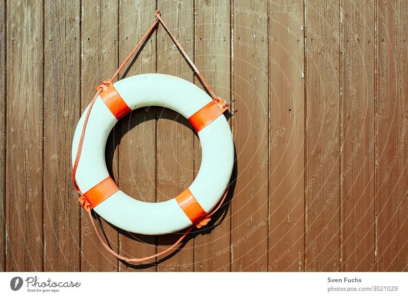 Rettungsring an einer braunen Holzwand Leben Meer Seil Wasser Gürtel rund rot weiß Sicherheit Schutz Überleben reifen retten Notfall Retter rettungsschwimmer