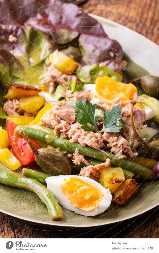 salade nicoise Meeresfrüchte Gemüse Ernährung Vegetarische Ernährung Diät Teller Restaurant frisch lecker Salat Feinschmecker Fisch Ei Tomate gesund