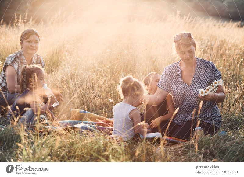Familie verbringt Zeit zusammen auf einer Wiese Lifestyle Freude Glück Erholung Freizeit & Hobby Ferien & Urlaub & Reisen Sommer Sommerurlaub Kind Mensch