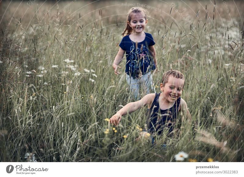 Kleine glückliche Kinder spielen im hohen Gras auf dem Lande. Unverfälschte Menschen, echte Momente, authentische Situationen Lifestyle Freude Glück Erholung
