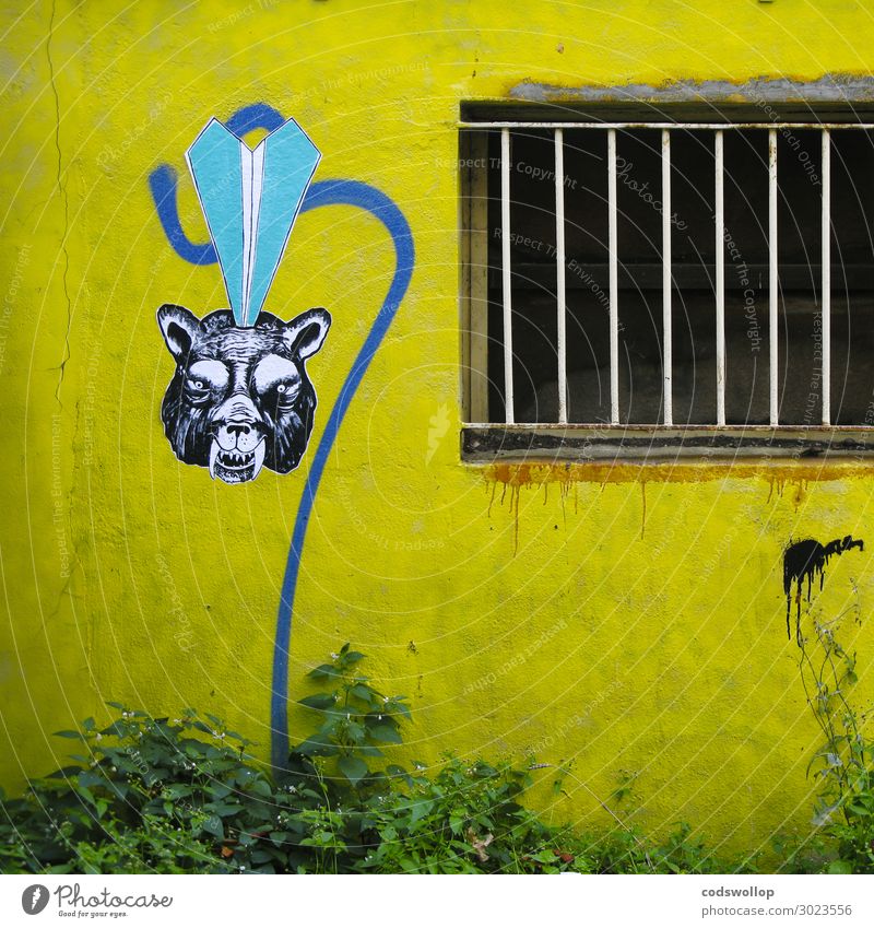 Storch konfrontiert Bär auf gelbem Hintergrund blau Außenaufnahme Textfreiraum unten Wand fenstergitter Graffiti Straßenkunst Knast gelber hintergrund Gefängnis