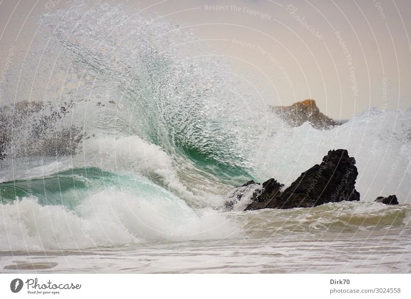 Freak Wave Umwelt Natur Landschaft Urelemente Wasser Wetter Unwetter Wind Sturm Felsen Wellen Küste Strand Meer Biscaya Atlantik Felsküste Brandung Gischt