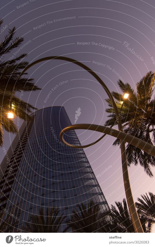 . Stadt Kunst Straßenbeleuchtung Laterne Windung Palme San Diego Hochhaus lila wolken Farbfoto Außenaufnahme Menschenleer Textfreiraum oben Dämmerung