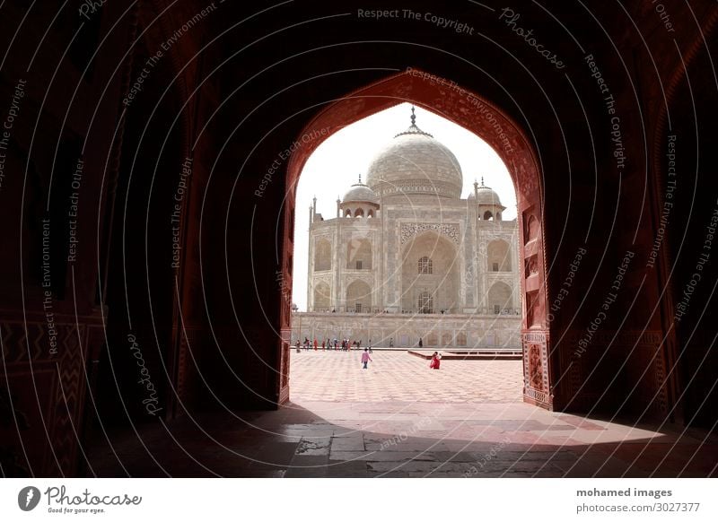 Taj Mahal, Indien Ferien & Urlaub & Reisen Tourismus Ausflug Ferne Sightseeing Städtereise Expedition Innenarchitektur Dekoration & Verzierung Tapete Kunst