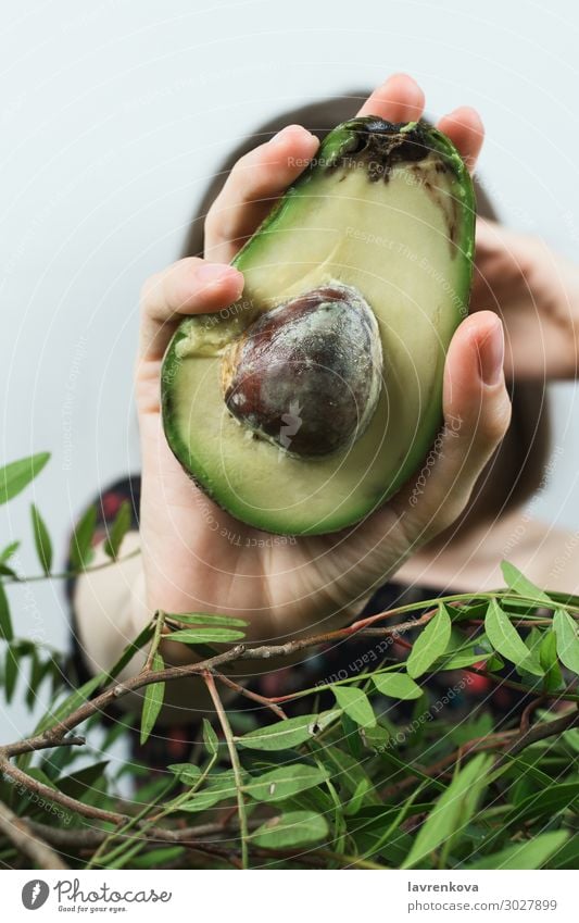Frauenhand, die die Hälfte der Avocado hält. reif roh Zutaten Blatt Nahaufnahme organisch frisch Hand Suppengrün Ast Diät Fett Lebensmittel Gesunde Ernährung